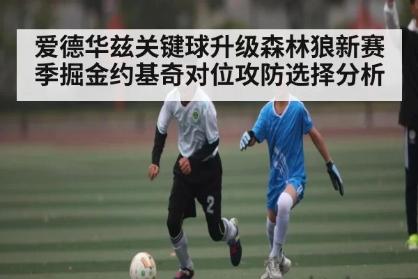 爱德华兹关键球升级森林狼新赛季掘金约基奇对位攻防选择分析